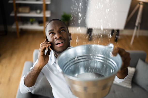 Best Water damage contractors near me  in Stony Point, NC