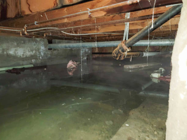 Best Sewage cleanup and water damage restoration  in Stony Point, NC
