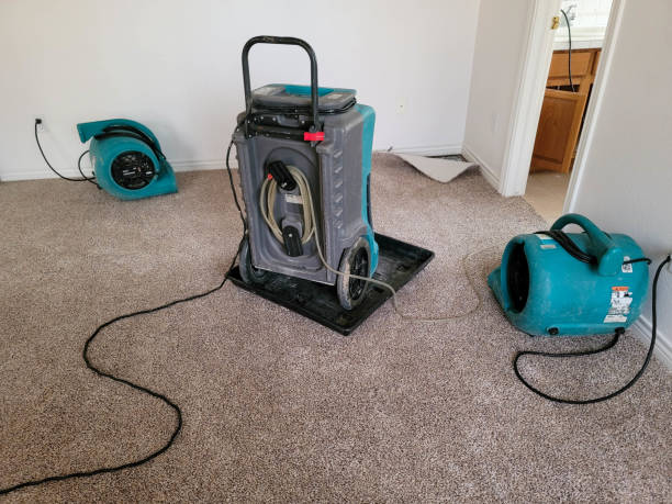  Stony Point, NC Water damage restoration Pros