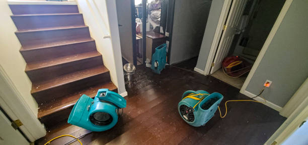 Best Flood restoration services  in Stony Point, NC
