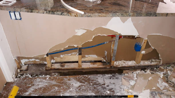 Best Flood damage cleanup  in Stony Point, NC