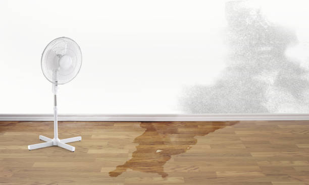 Professional Water damage restoration in Stony Point, NC