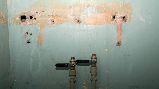 Best Local water damage restoration  in Stony Point, NC