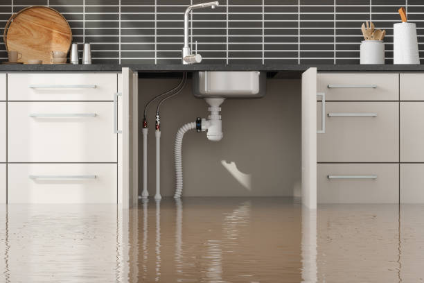 Best Fire Damage Restoration  in Stony Point, NC