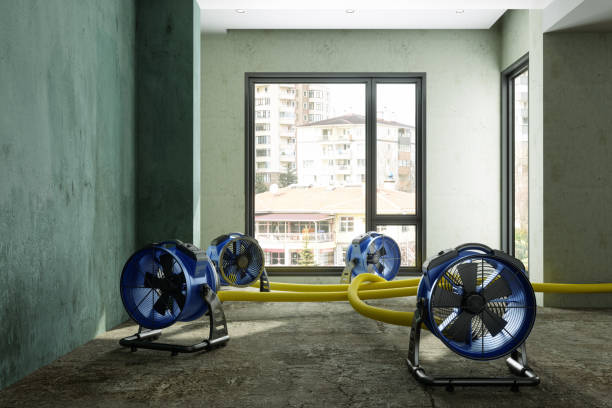 Best 24/7 water damage repair  in Stony Point, NC