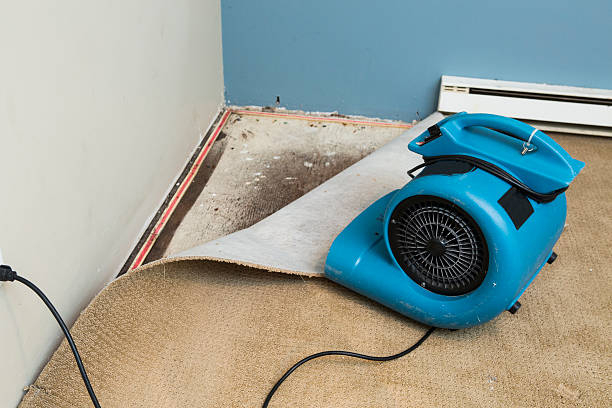 Best Water damage restoration near me  in Stony Point, NC